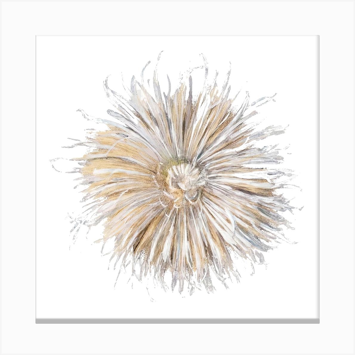 Chrysanthemum Sticker, Flower Illustration 1 Canvas Print by Fy! Classic Art Prints and Posters