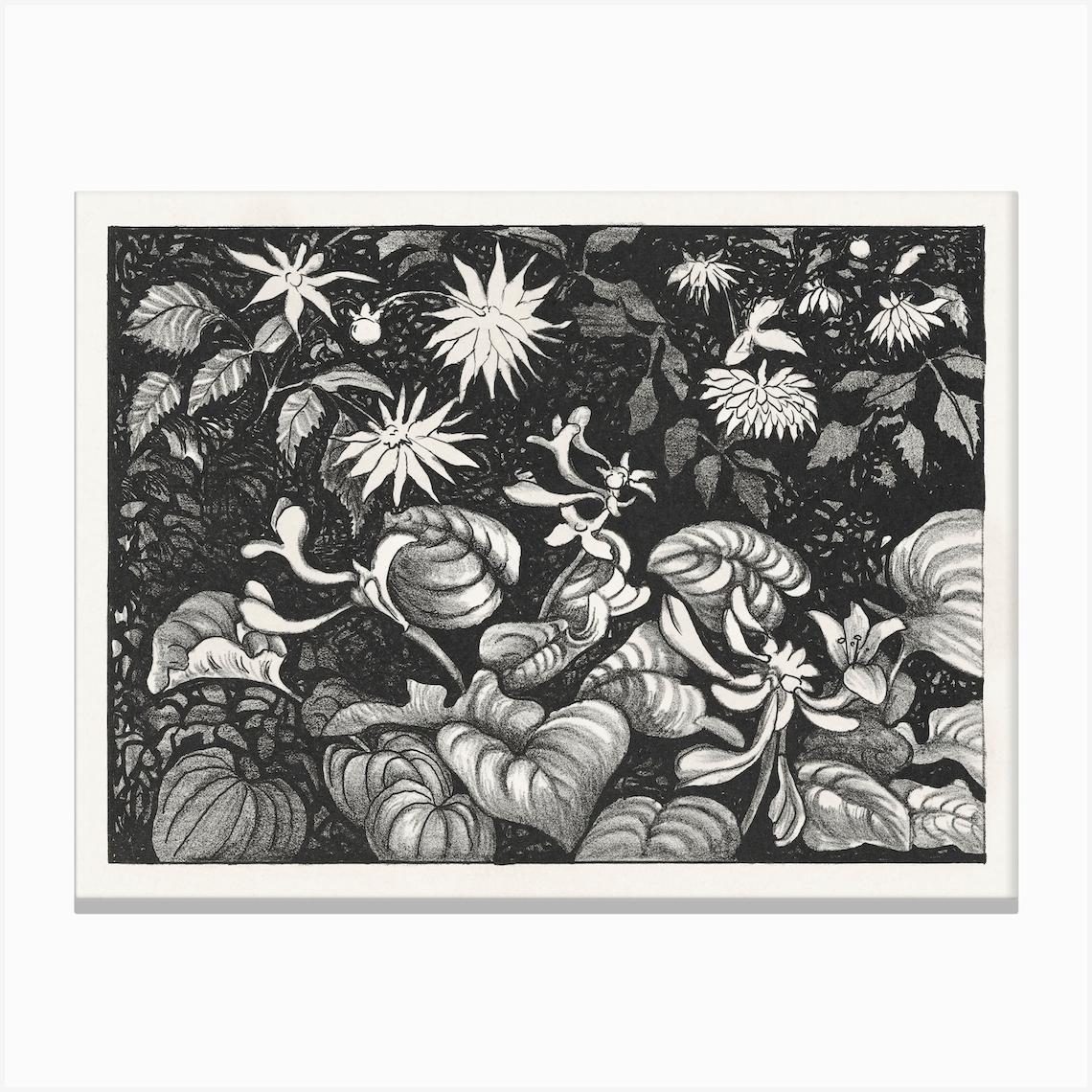 Wild Plants And Flowers (1878–1917) By Theo Van Hoytema Stampe su tela