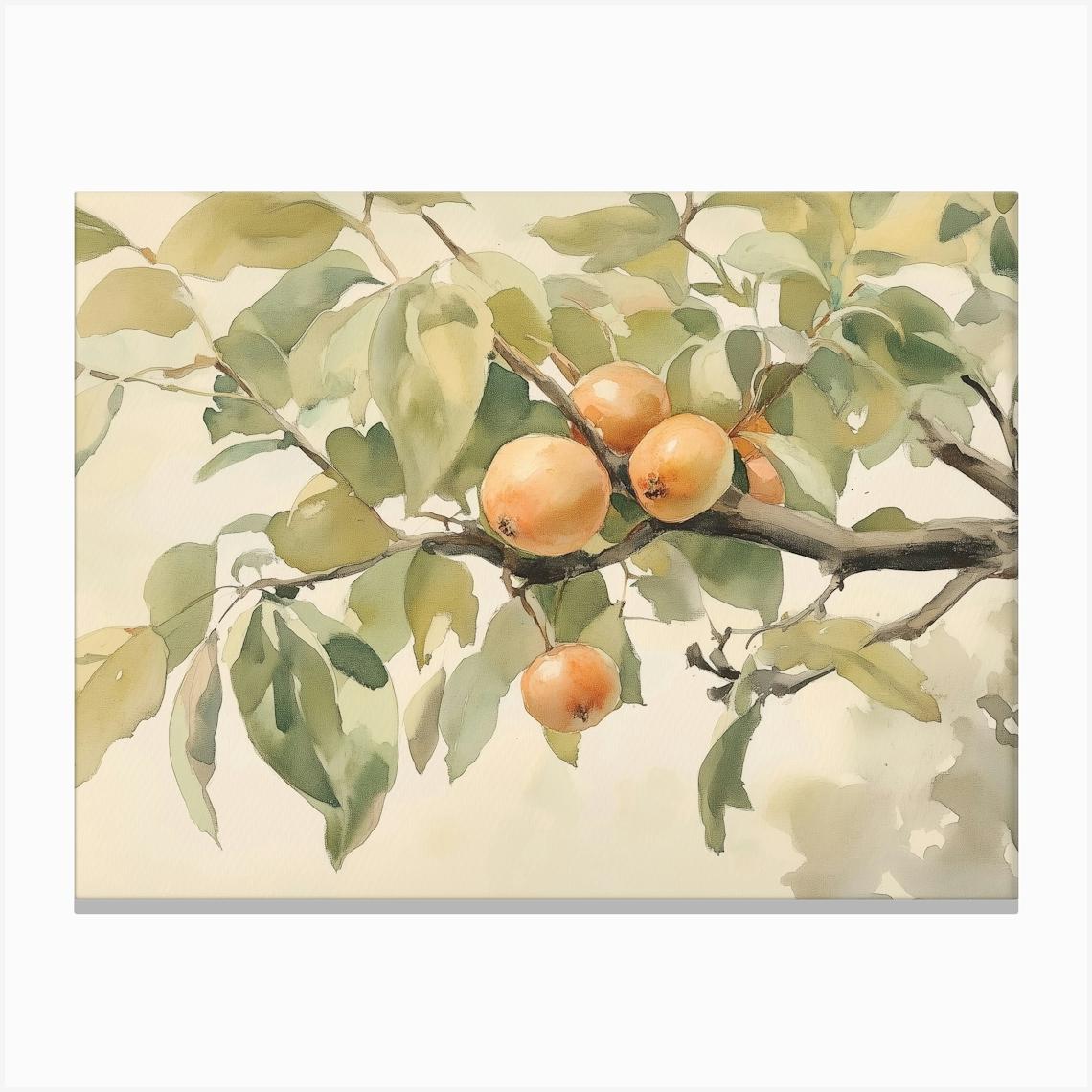 Pear Tree Canvas Print by Melloi Art Prints