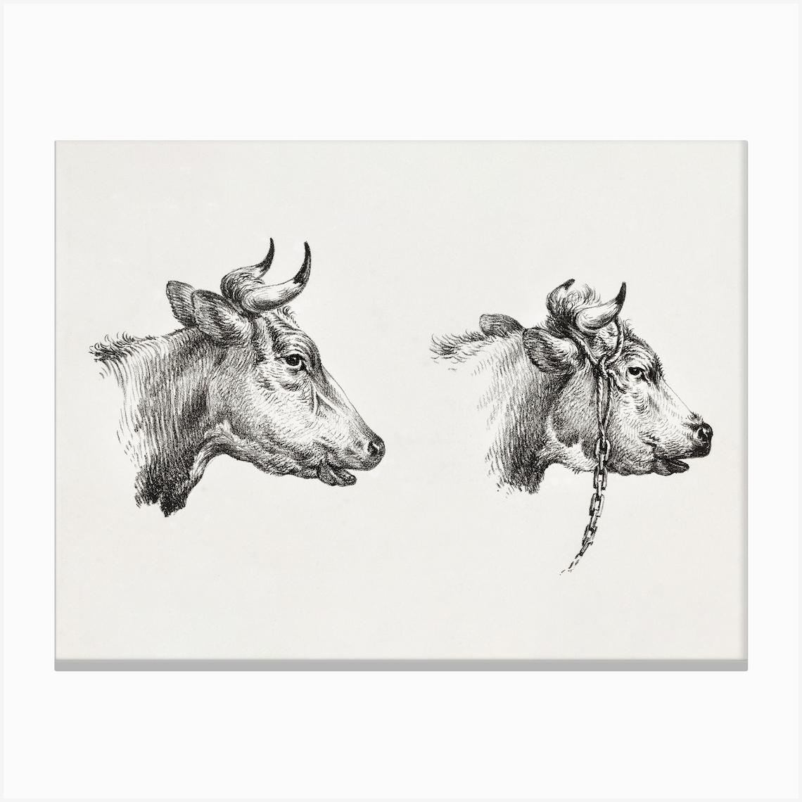 Two Bull Heads, Jean Bernard Canvas Print by Fy! Classic Art Prints and Posters