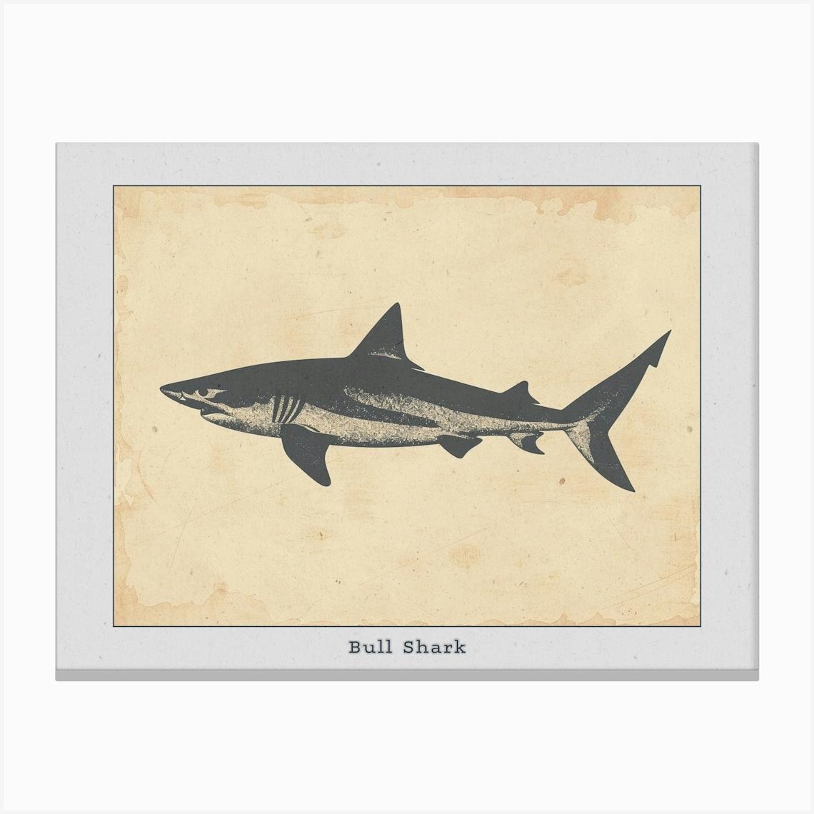 Bull Shark Grey Silhouette 2 Poster Canvas Print by Energy of the Sea