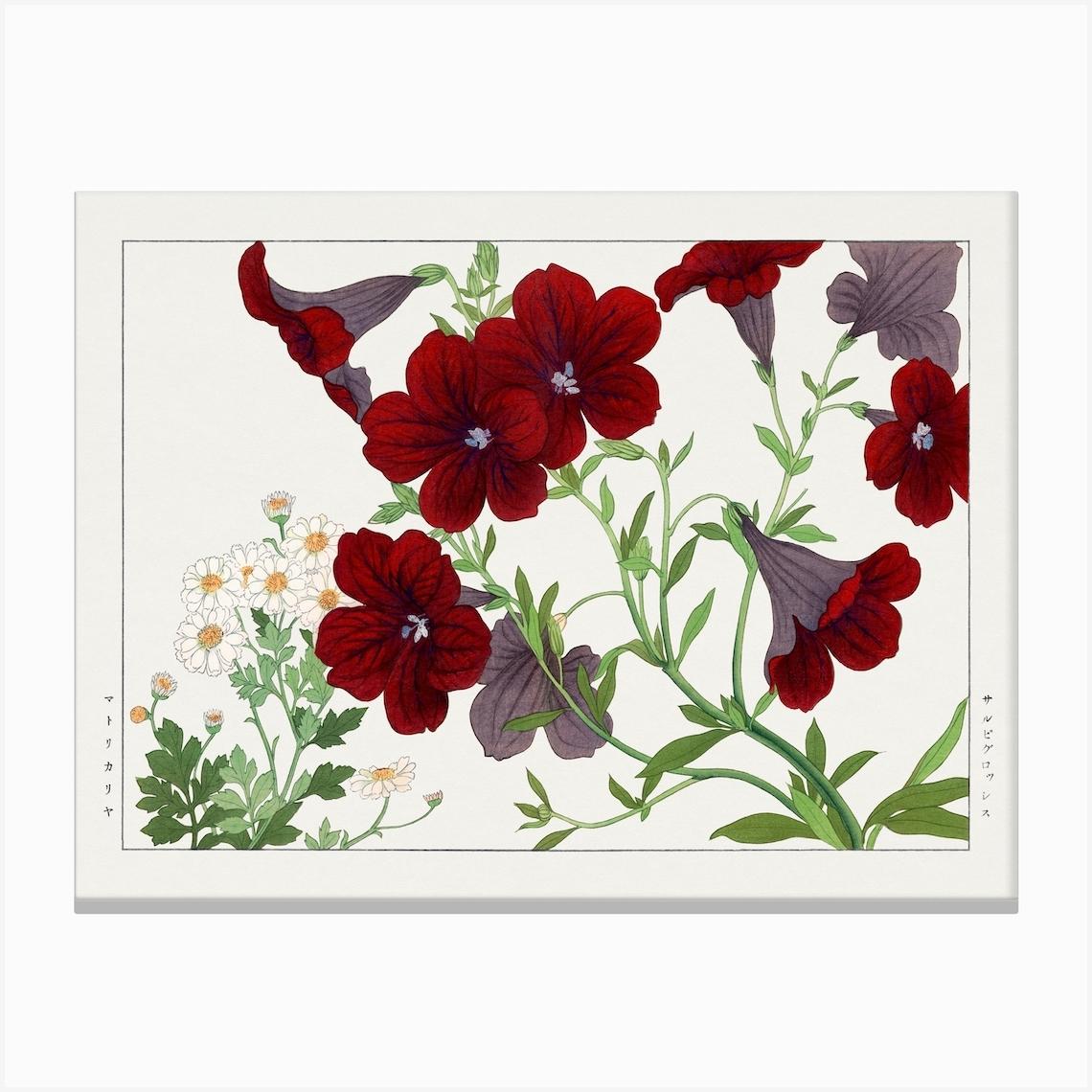 Matricaria & Salpiglossis Flower, Japanese Woodblock Canvas Print by Fy! Classic Art Prints and Posters