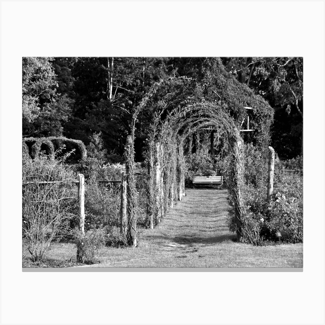 Garden Bench BW Canvas Print by MY MEMORY IS SHOT