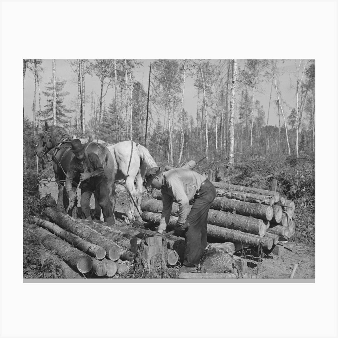 Untitled Photo, Possibly Related To Piling Timber At Camp Near Effie, Minnesota By Russell Lee Canvas Print by Fy! Classic Art Prints and Posters