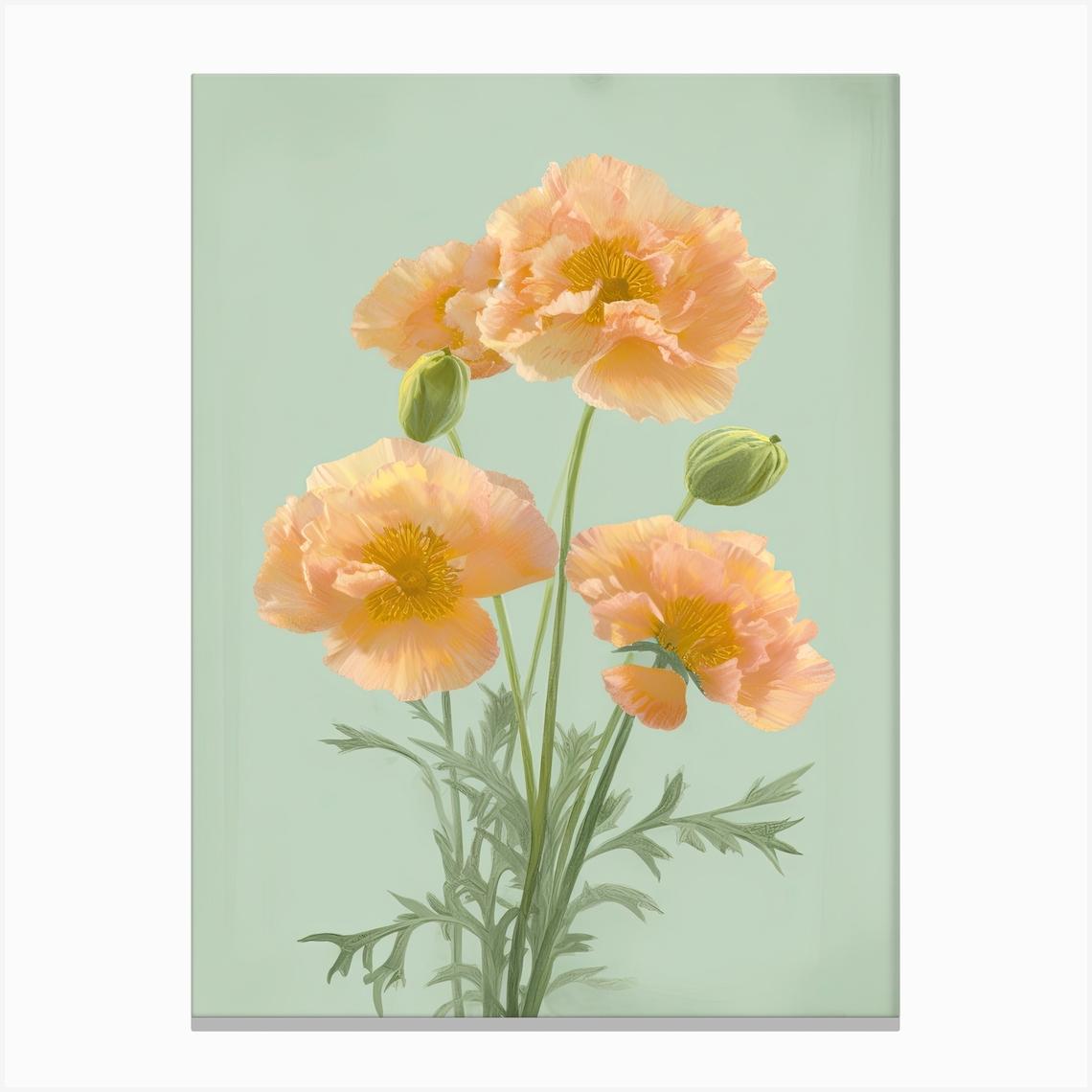 Marigold Flowers Acrylic Painting In Pastel Colours 12 Canvas Print by Fusion Designs