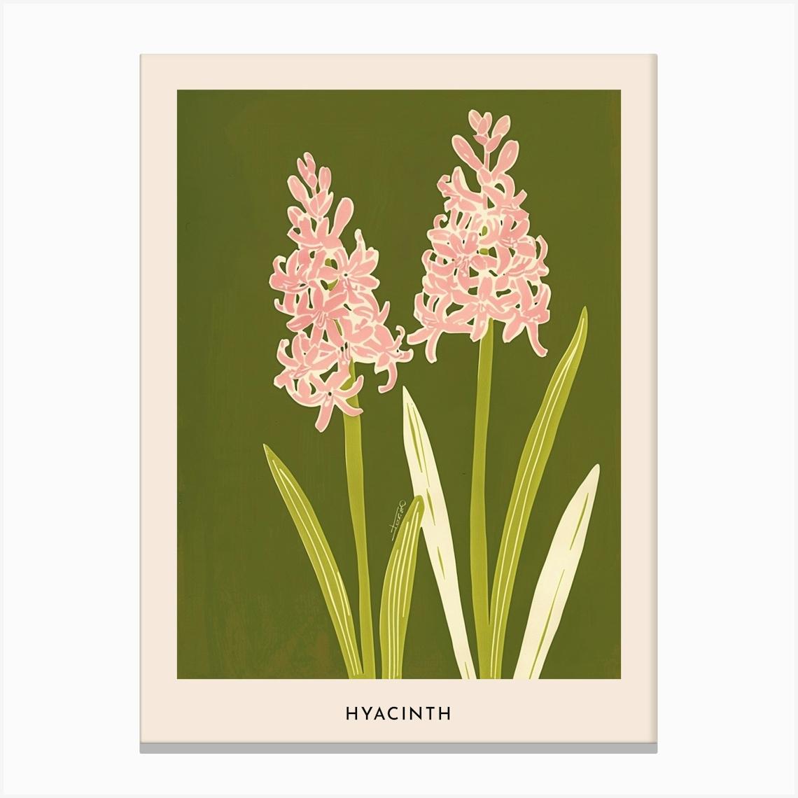 Pink & Green Hyacinth 2 Flower Poster Canvas Print by Botanic Studio