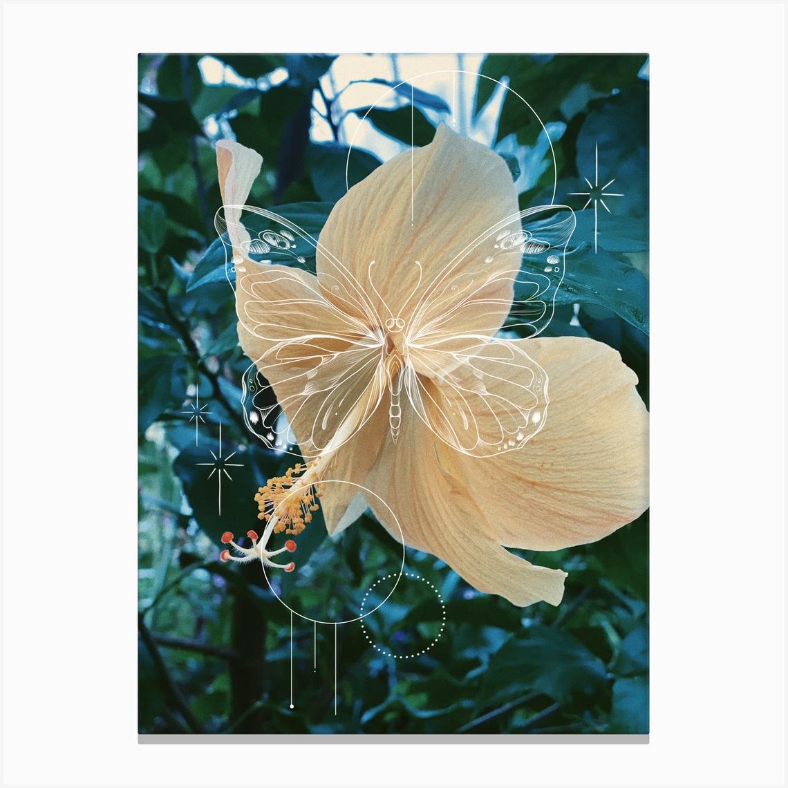 Butterfly Hibiscus Canvas Print by Jade Chanel