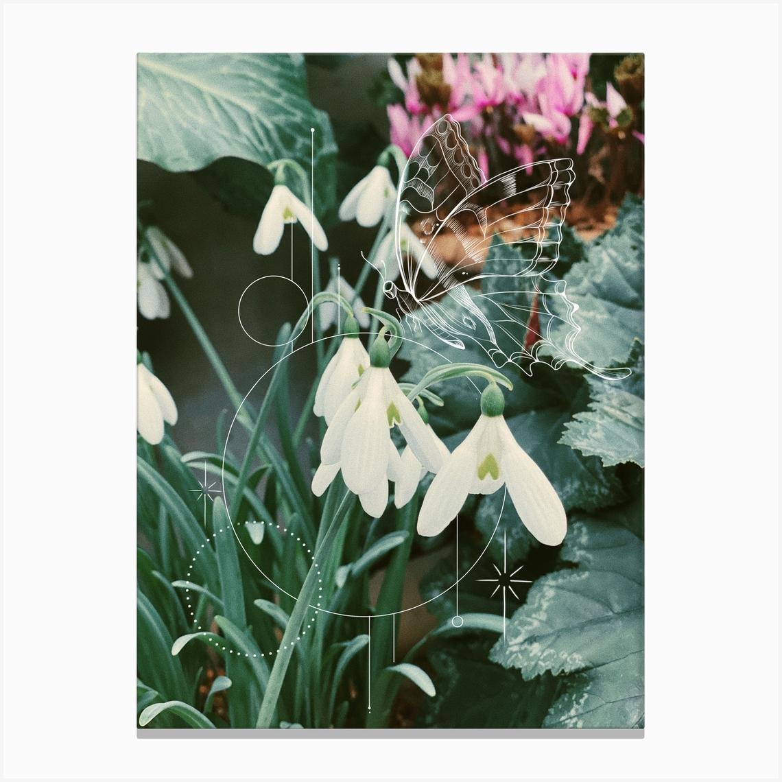 Snowdrops Canvas Print by Jade Chanel