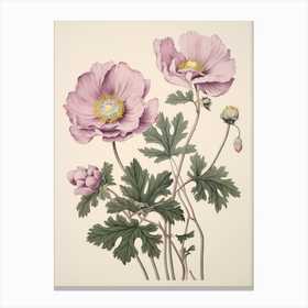 Hanaichige Japanese Anemone 2 Vintage Japanese Botanical Art