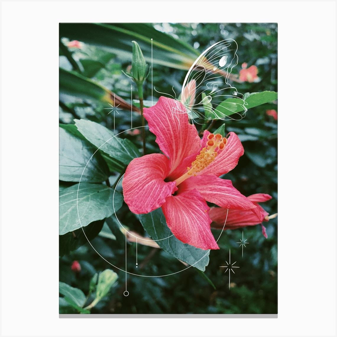 Hibiscus Bloom Canvas Print by Jade Chanel