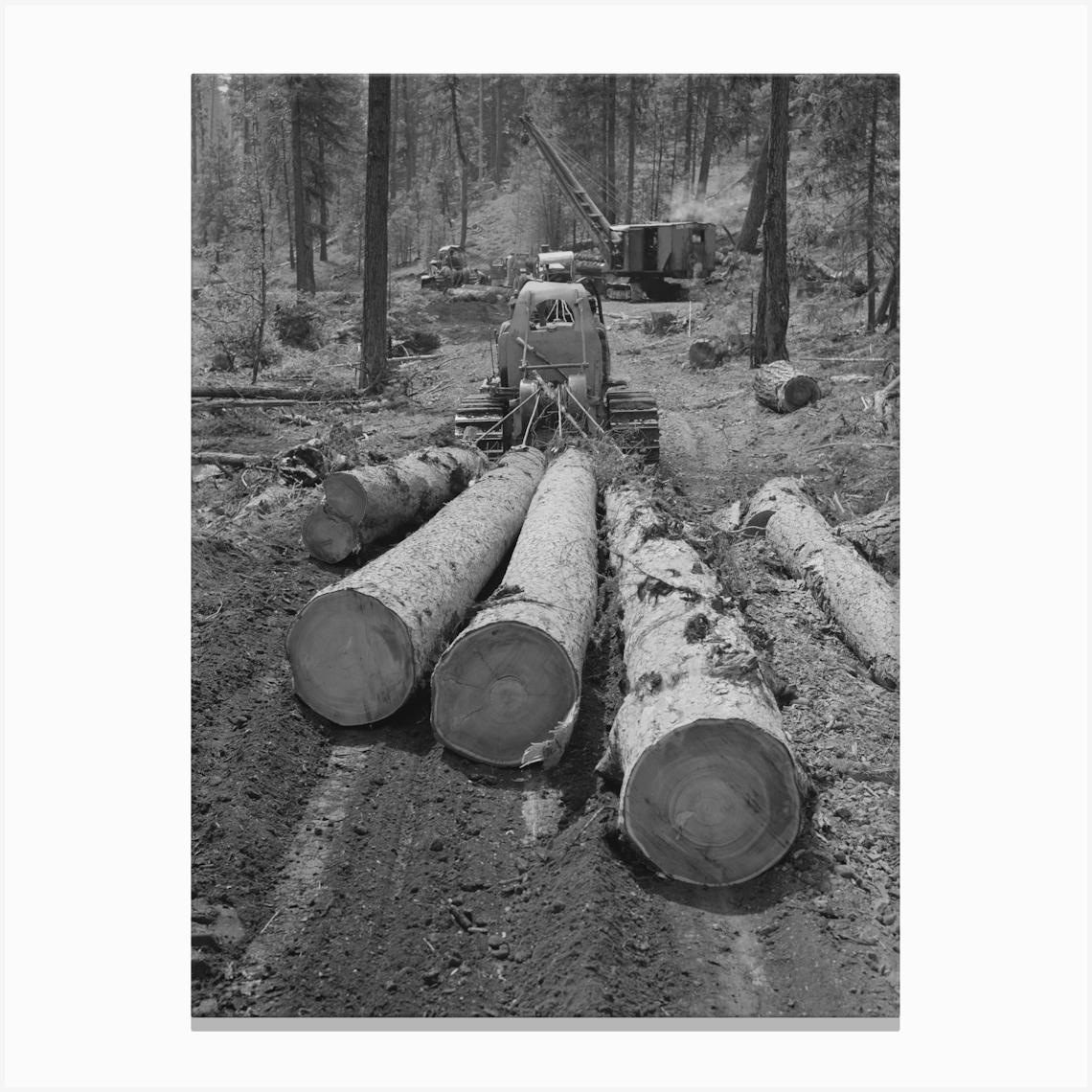 Untitled Photo, Possibly Related To Grant County, Oregon, Malheur National Forest , Diesel Caterpillar Tractor Snakin Canvas Print by Fy! Classic Art