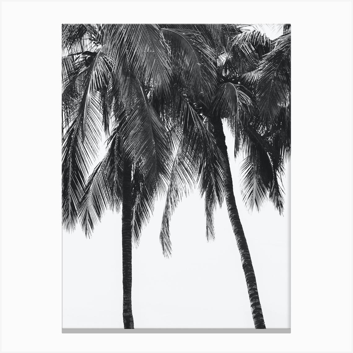 Palm Trees Black And White Travel Photography Canvas Print by Dagmar Pels