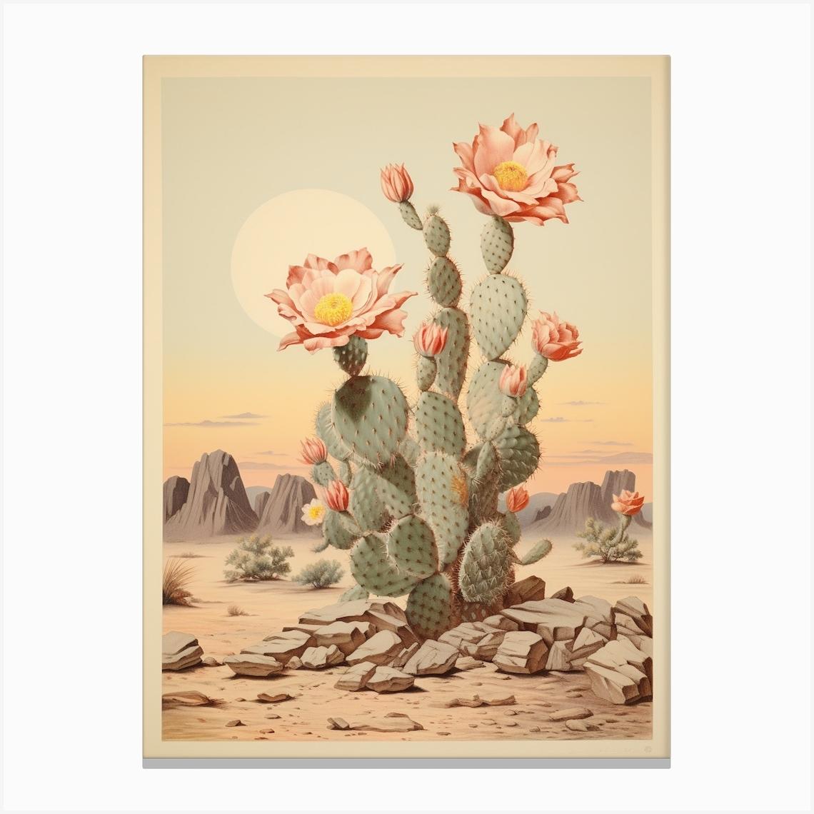 Vintage Cactus Illustration Moon Cactus Canvas Print by Botanic Studio