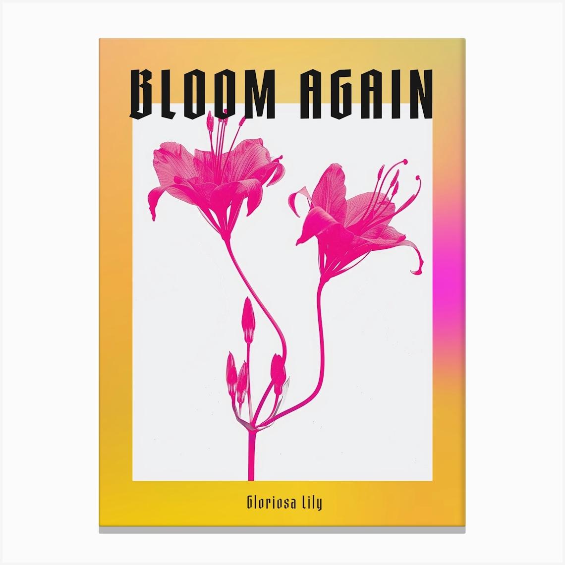 Hot Pink Gloriosa Lily 1 Poster Leinwandbild