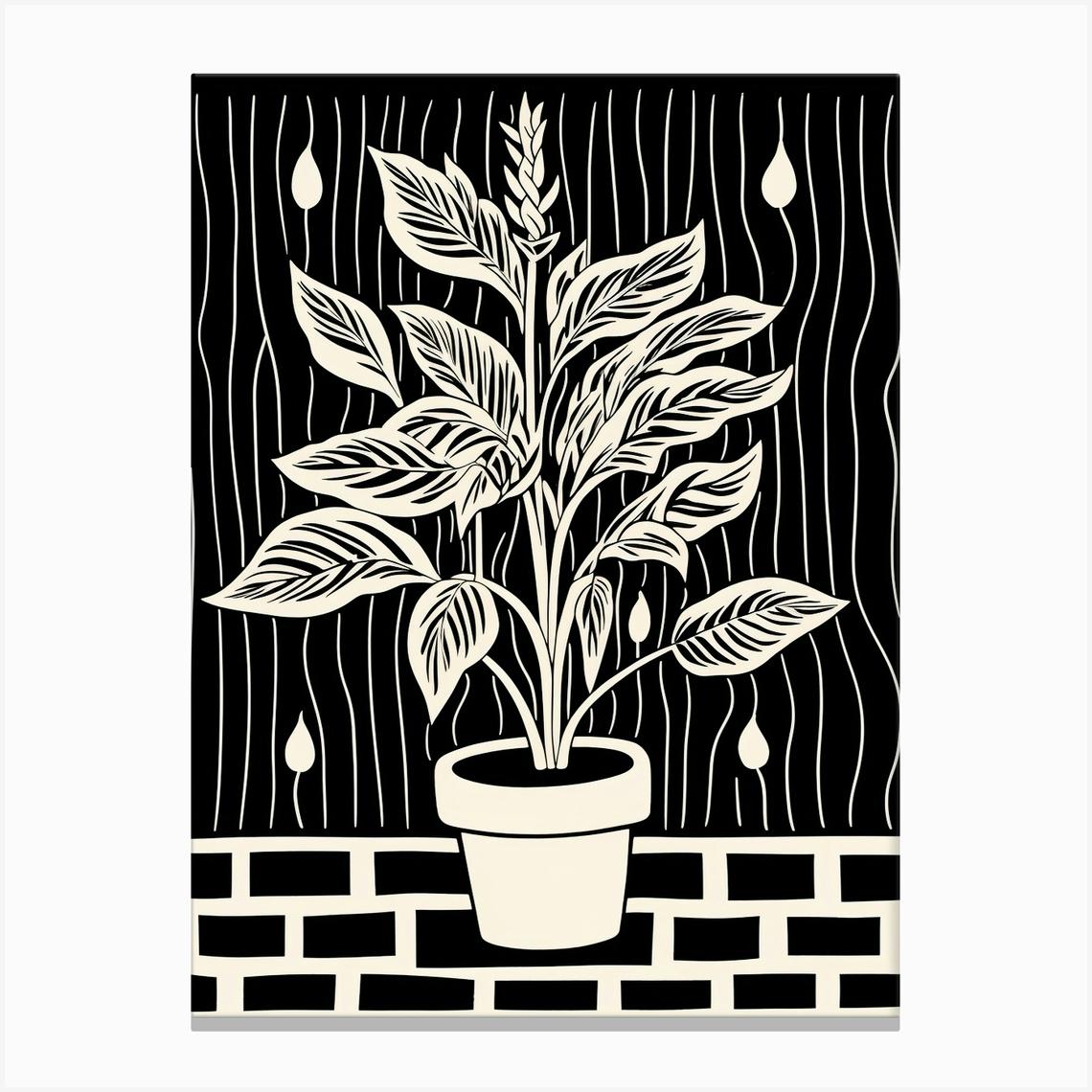 B&W Plant Illustration Cast Iron 2 Lienzo