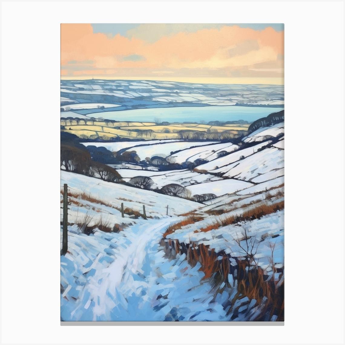 Pembrokeshire Coast National Park Wales 3 Canvas Print by Bon Hiver Prints