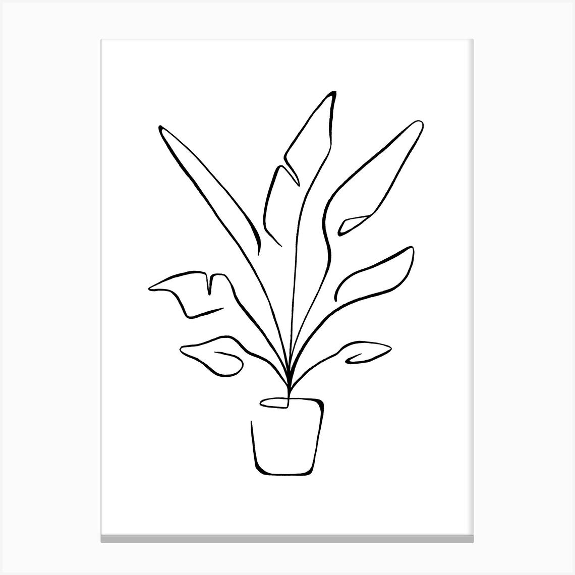Minimal Bird Of Paradise Plant Canvas Print by Nicole Hammonds