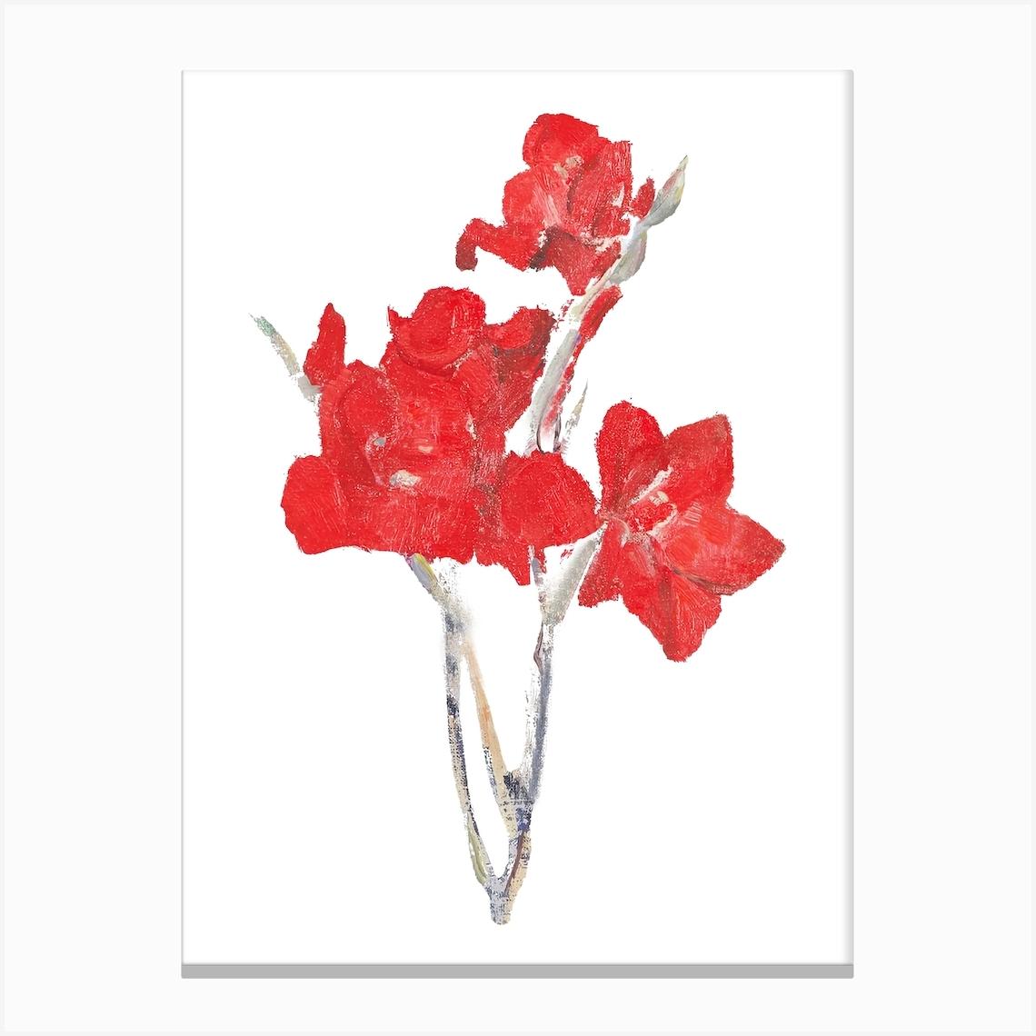 Ed Gladioli Sticker, Flower Illustration 1 Canvas Print by Fy! Classic Art Prints and Posters