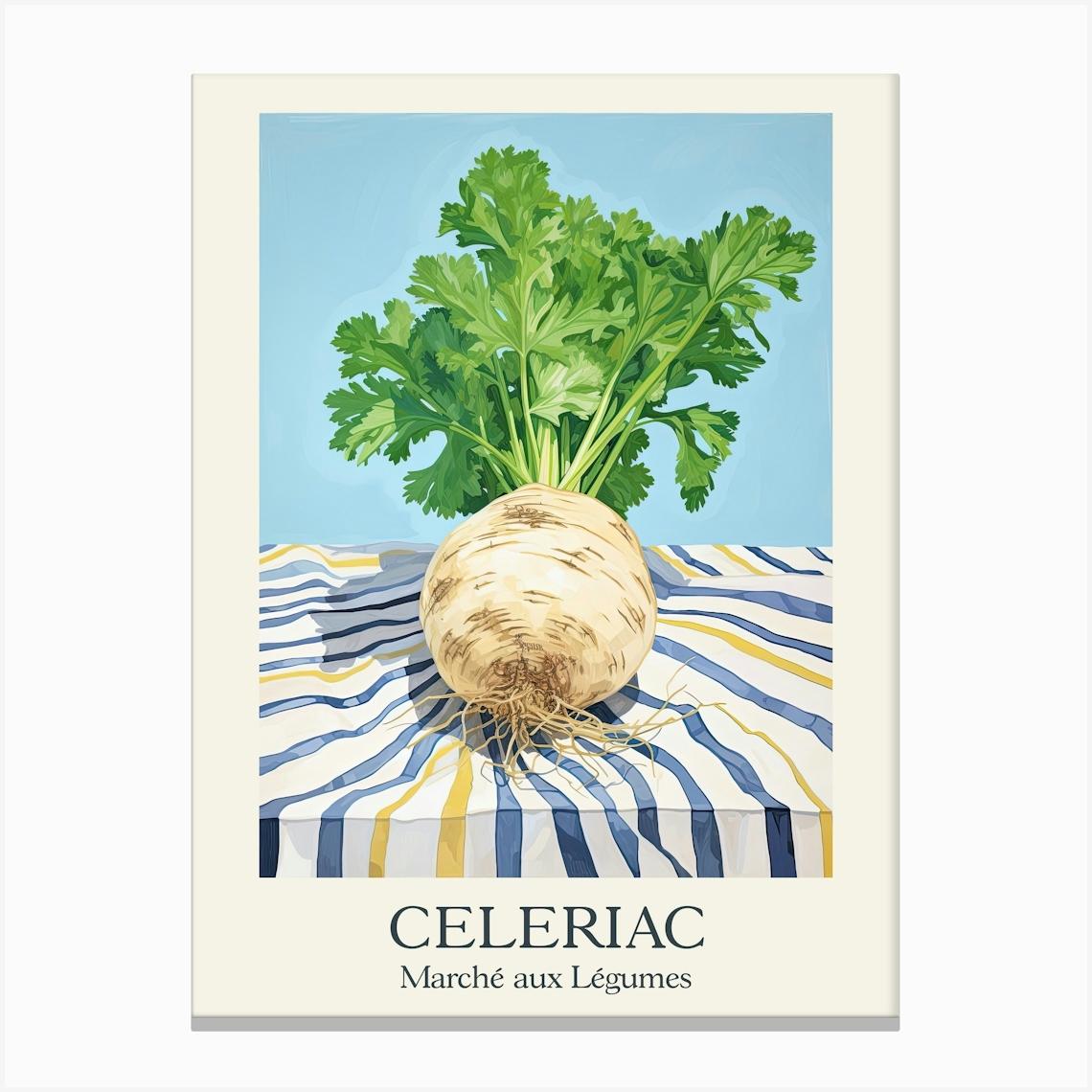 Marche Aux Legumes Celeriac Summer Illustration 2 Canvas Print by Dreamy Seasons Art