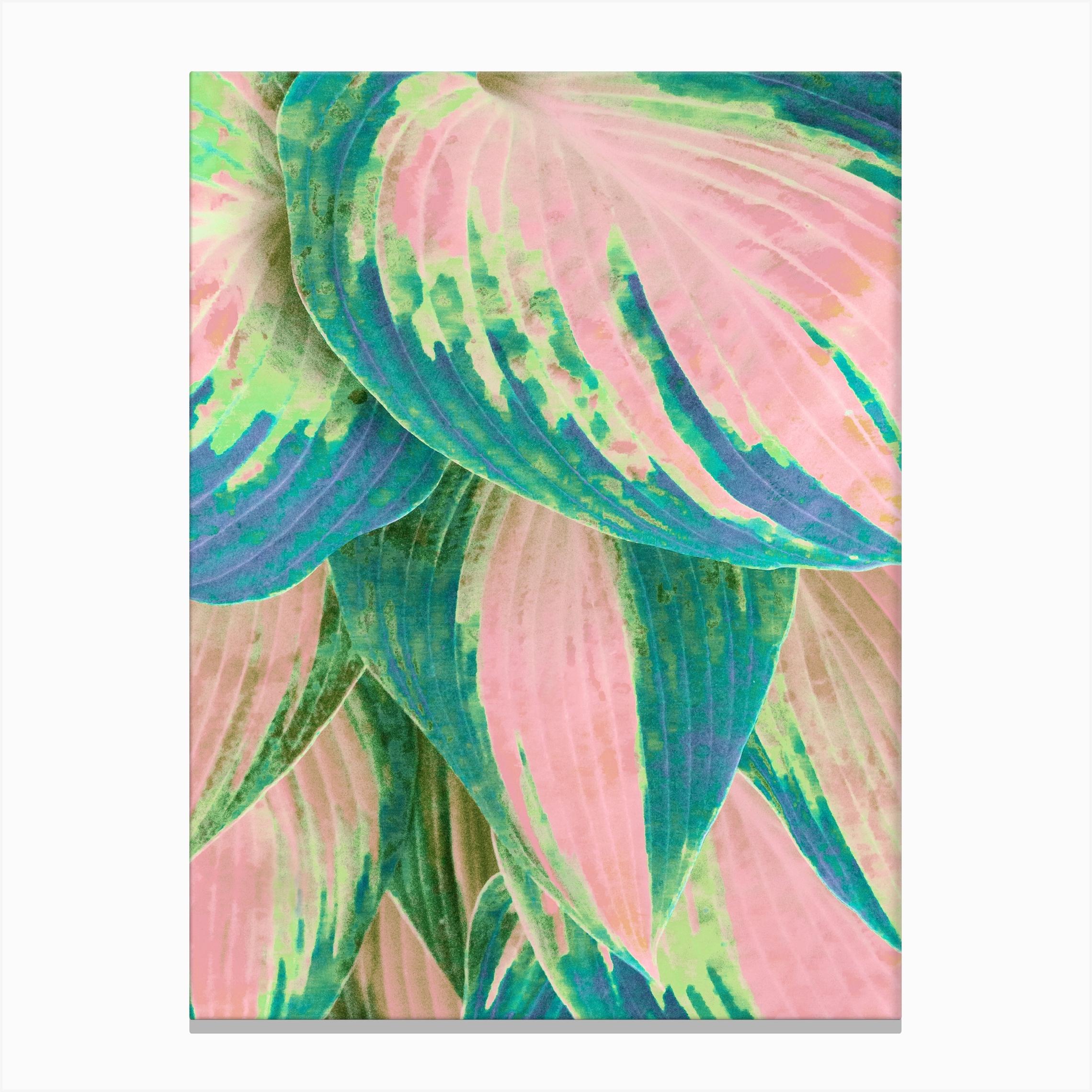 Hosta Multicolor Canvas Print by Cafelab