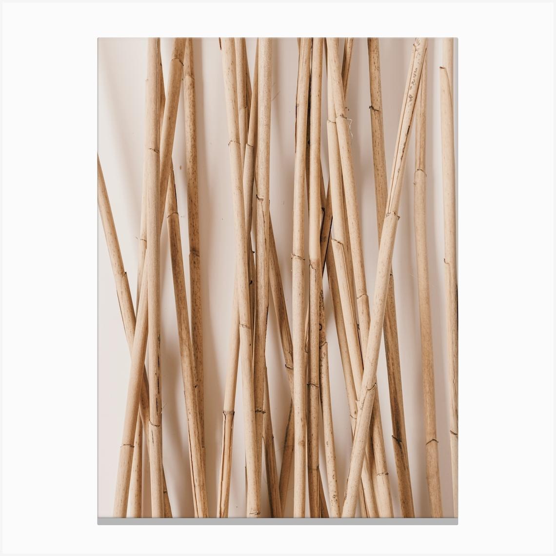 Wooden Reeds Canvas Print by Boheme At Home