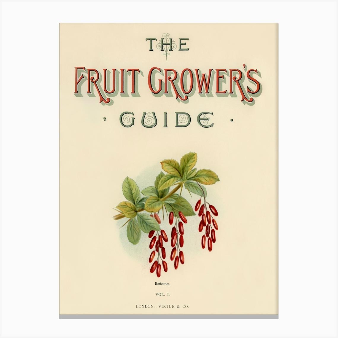 Vintage Illustration Of Fruit Grower S Guide, John Wright Leinwandbild