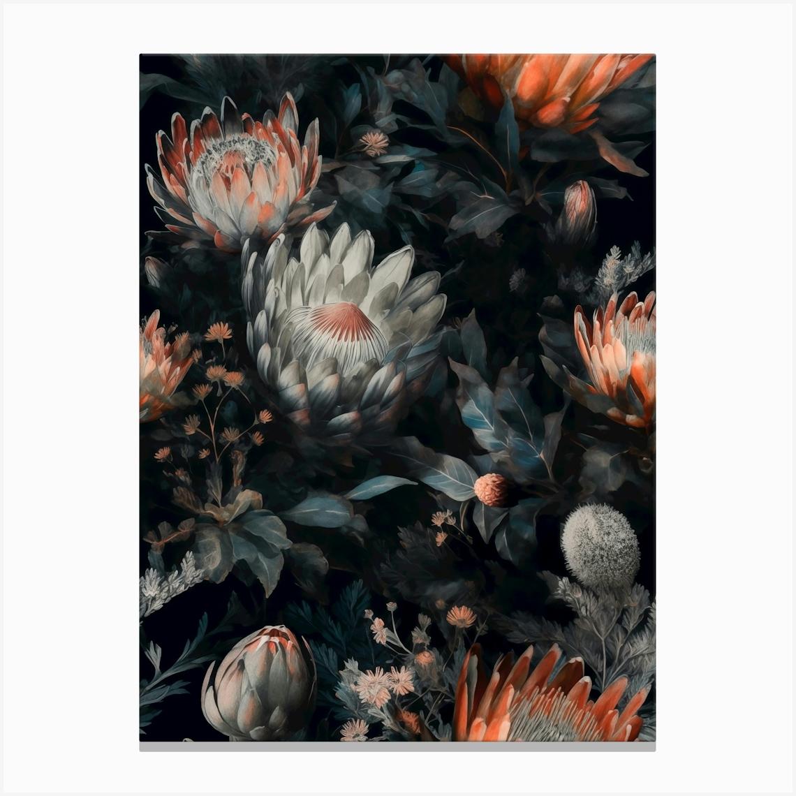 Proteas Canvas Print by JBJart Justyna Jaszke