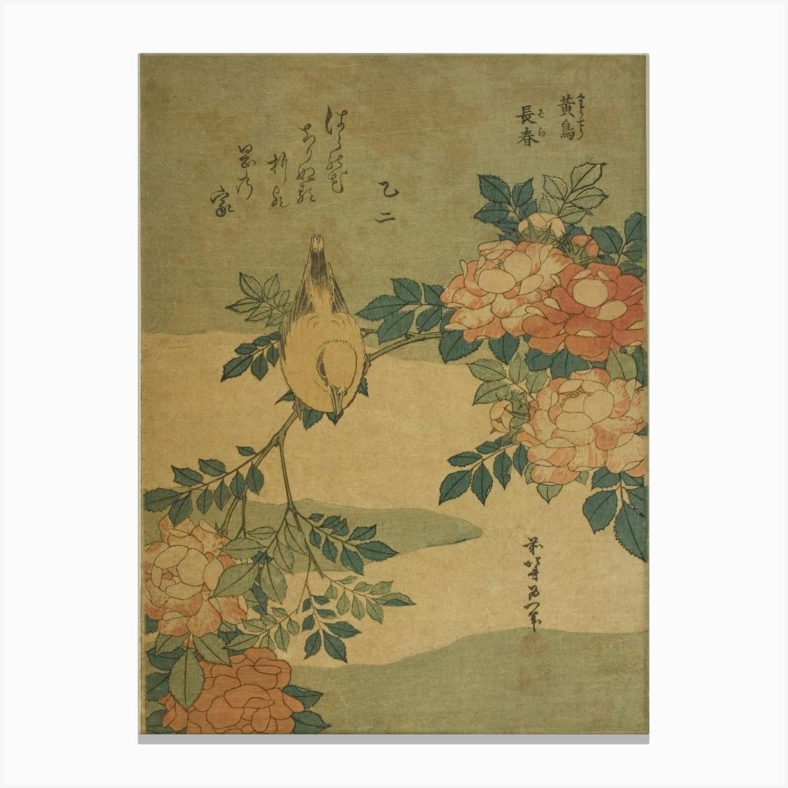 Warbler And Roses, Katsushika Hokusai Canvas Print by Fy! Classic Art Prints and Posters