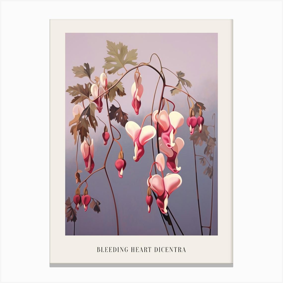 Floral Illustration Bleeding Heart Dicentra Poster Canvas Print by Botanic Studio