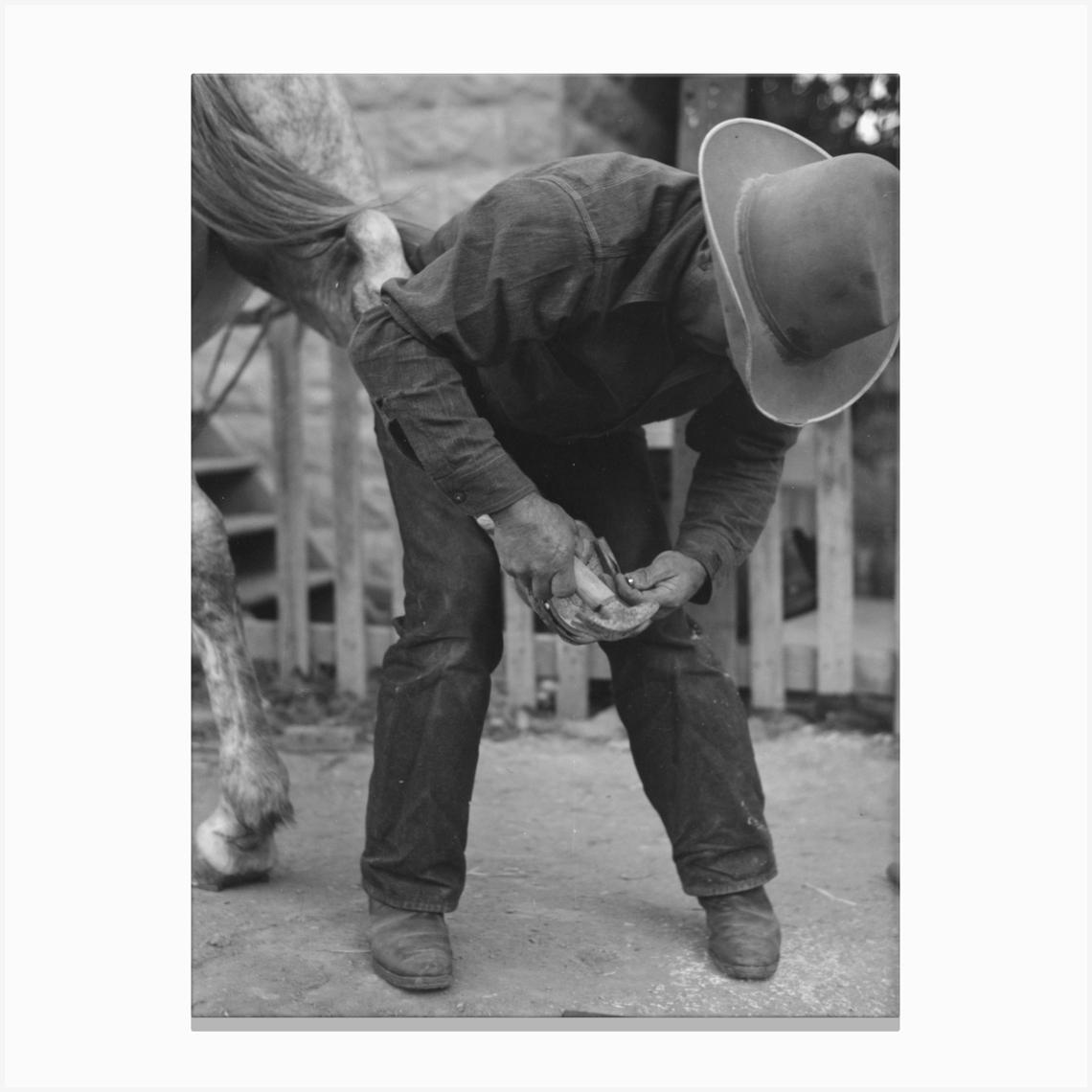 Untitled Photo, Possibly Related To Mormon Farmer Shoeing A Horse, Santa Clara, Utah By Russell Lee 1 Canvas Print by Fy! Classic Art Prints and