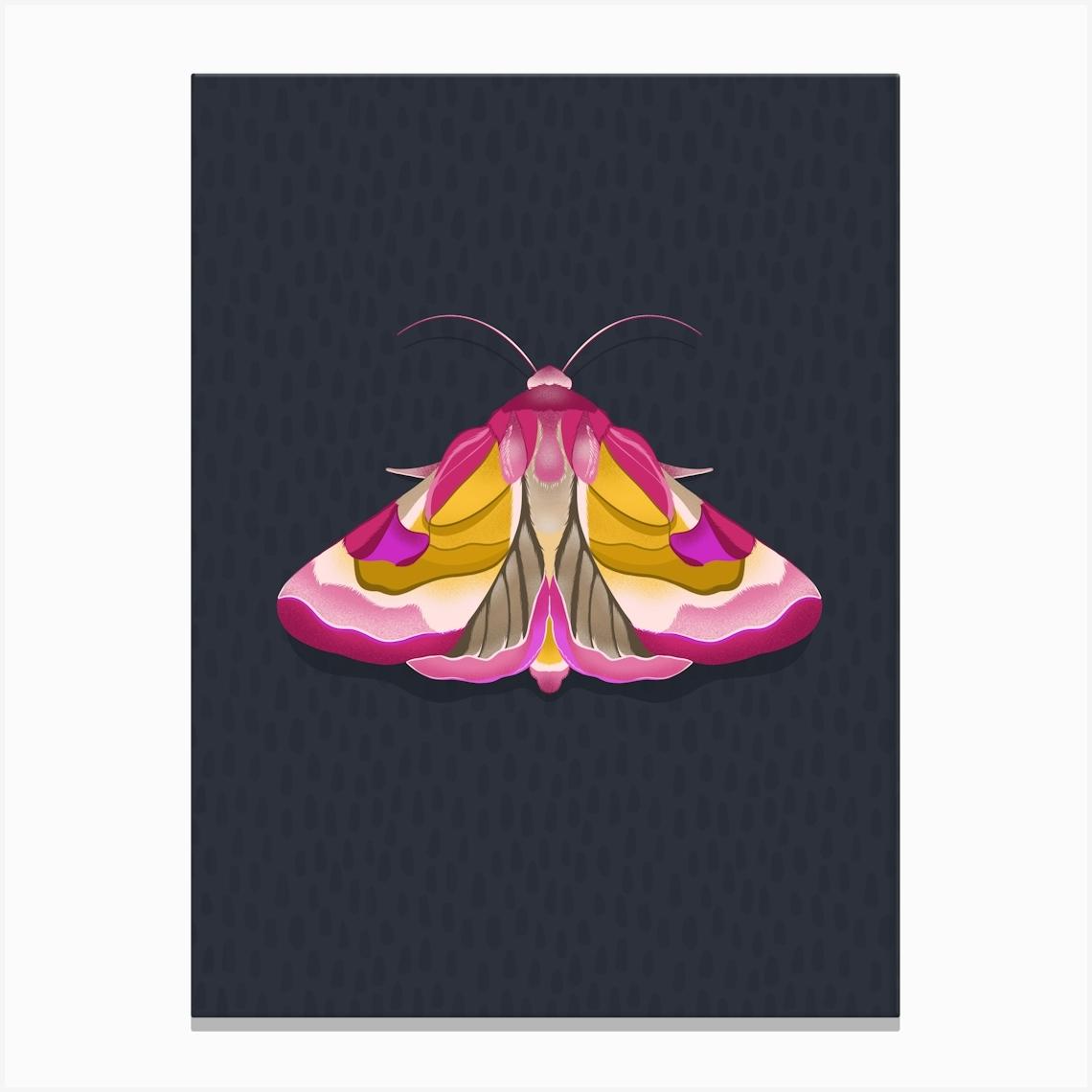 Pink Moth Canvas Print by Jess W Art