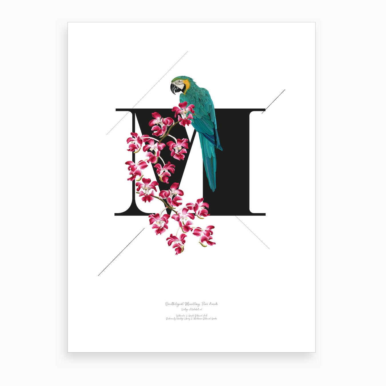 Botanical Alphabet M Art Print by Froilein Juno
