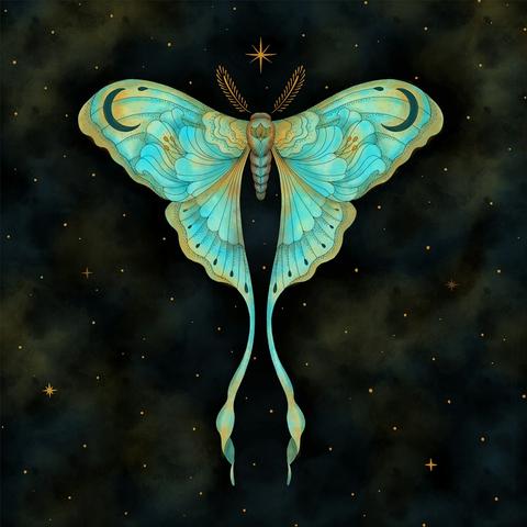ダイヤモンドアートクラブ Luna Moth Witch Luna Moth Witch – Diamond Art Club